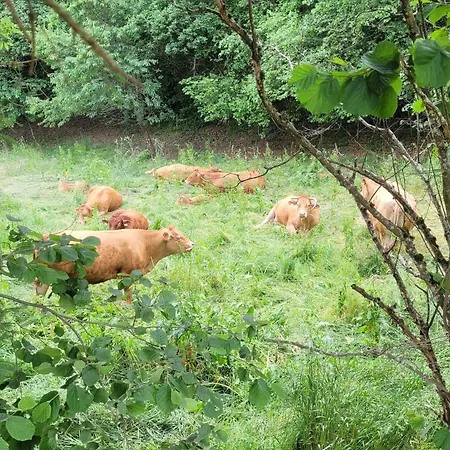 Apartment Fischerhof Hoechenschwand