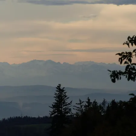 Apartment Fischerhof Hoechenschwand