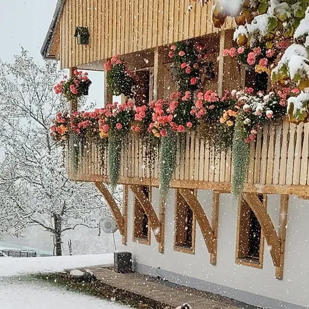 Fischerhof * Hoechenschwand