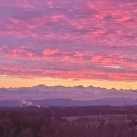 Apartment Fischerhof *