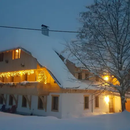 Fischerhof Apartment Hoechenschwand