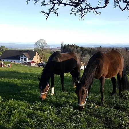 Apartment Fischerhof Hoechenschwand