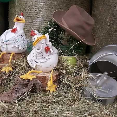 Apartment Fischerhof