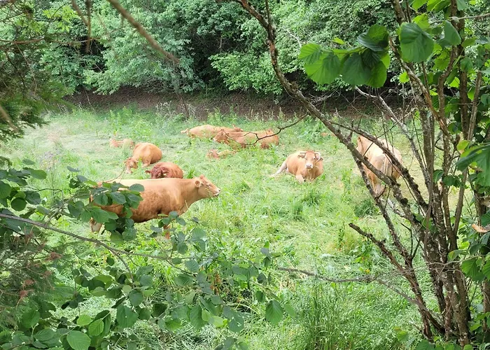 شقة Fischerhof بادن - فورتمبرغ