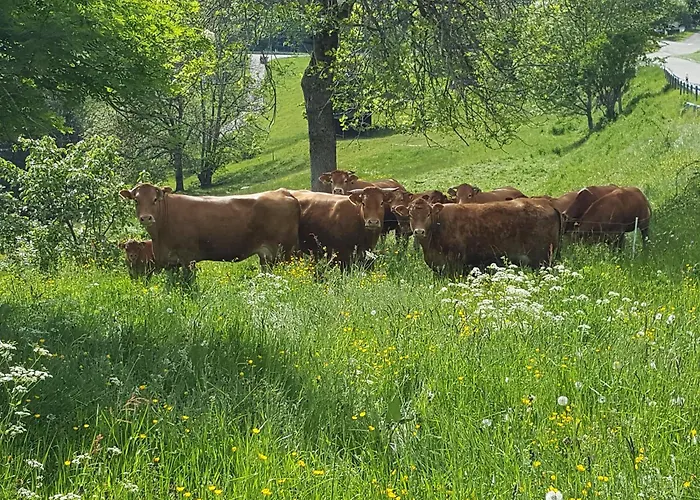 Fischerhof شقة بادن - فورتمبرغ