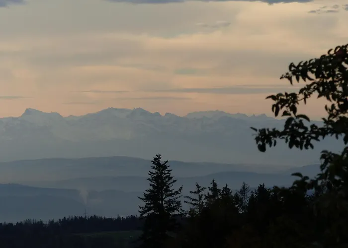 شقة Fischerhof بادن - فورتمبرغ