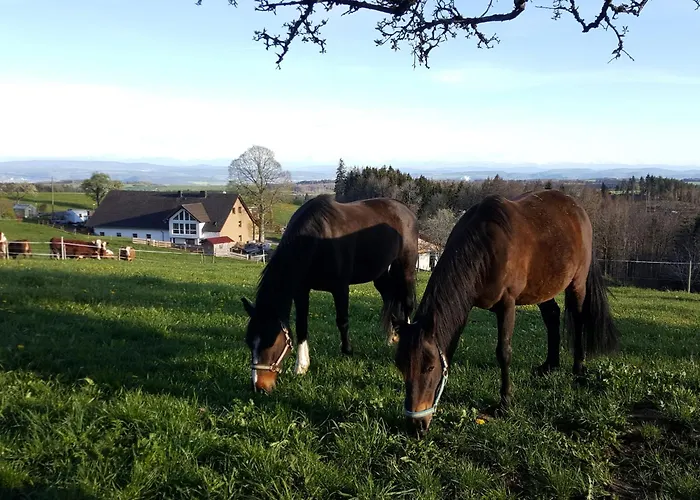 شقة Fischerhof بادن - فورتمبرغ